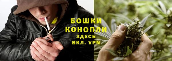 гашик Галич