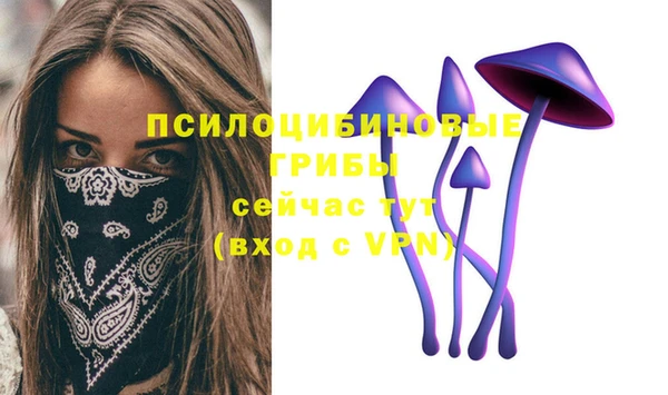 ешки Белоозёрский