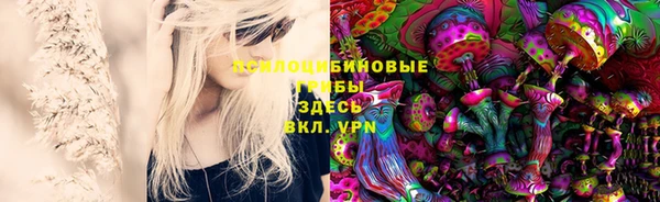 гашик Галич