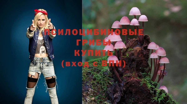 гидропоника Беломорск