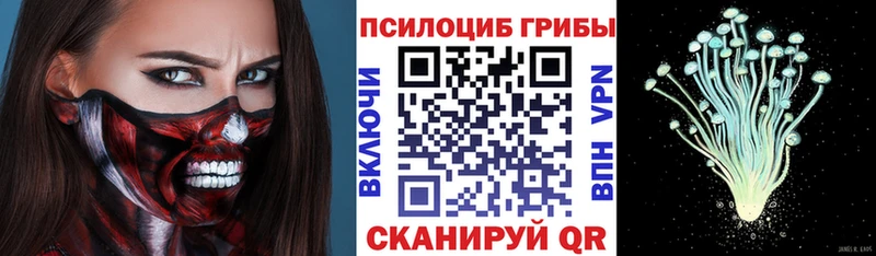 Галлюциногенные грибы Psilocybine cubensis  цены   Горячий Ключ 