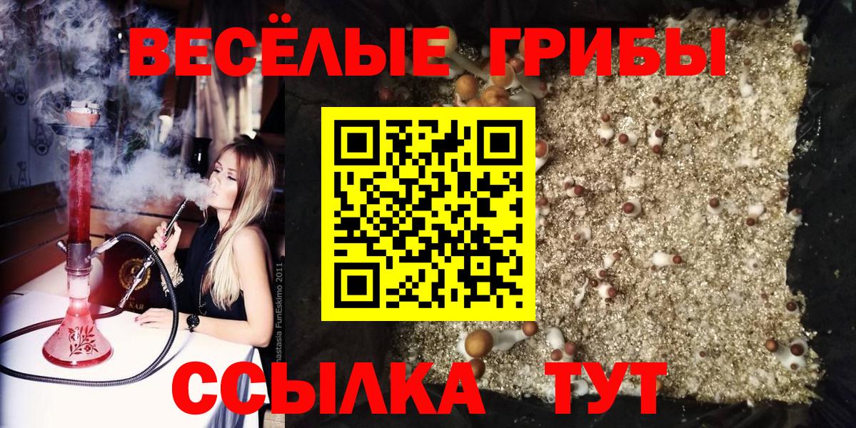 Псилоцибиновые грибы мухоморы Горячий Ключ