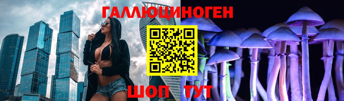 Галлюциногенные грибы Psilocybe  Вход с VPN  купить   Галлюциногенные грибы GOLDEN TEACHER  Горячий Ключ 